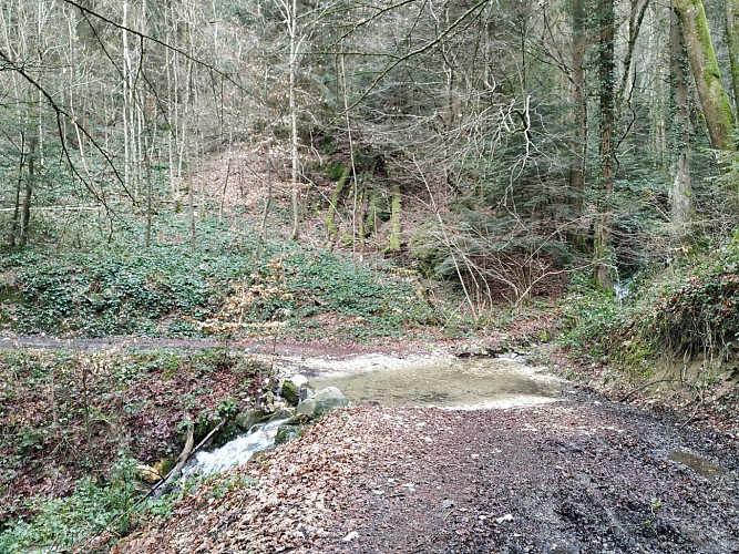 Saint Sulpice depuis le Forezan