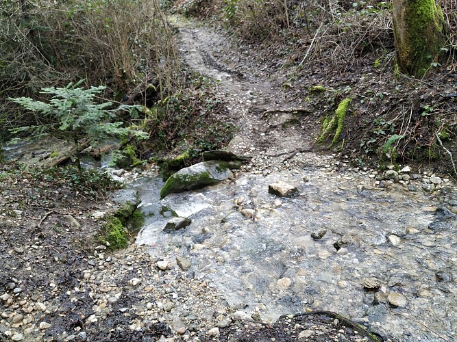 Saint Sulpice depuis le Forezan