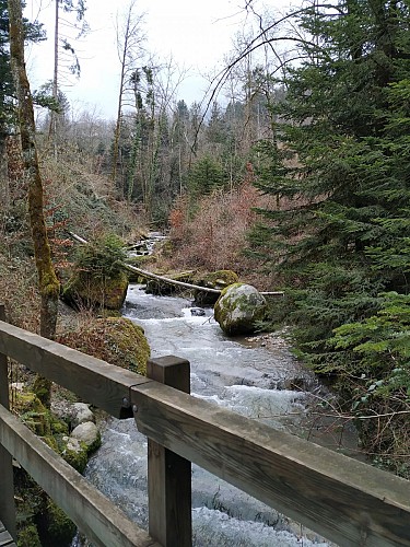 Saint Sulpice depuis le Forezan