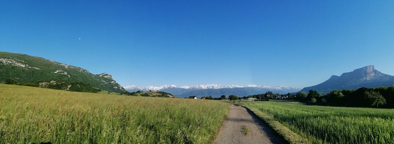 L'anello della palude dei Noux