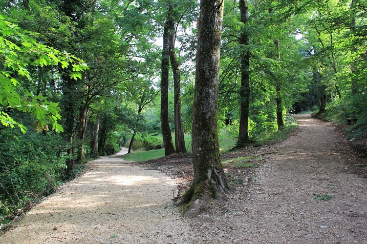 Comfort walk: Le Bois Vidal