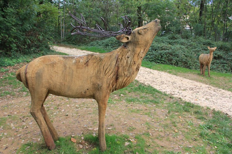 Comfort walk: Le Bois Vidal