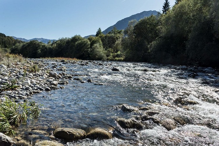 Promenade Confort : Picot promenade