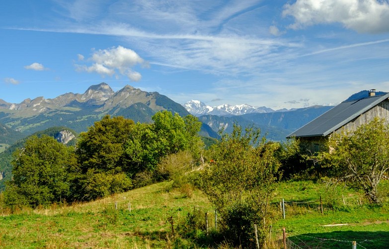 Randonnée : La gambade des mouflons