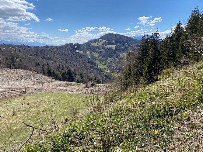 Via de Mont Rochefort