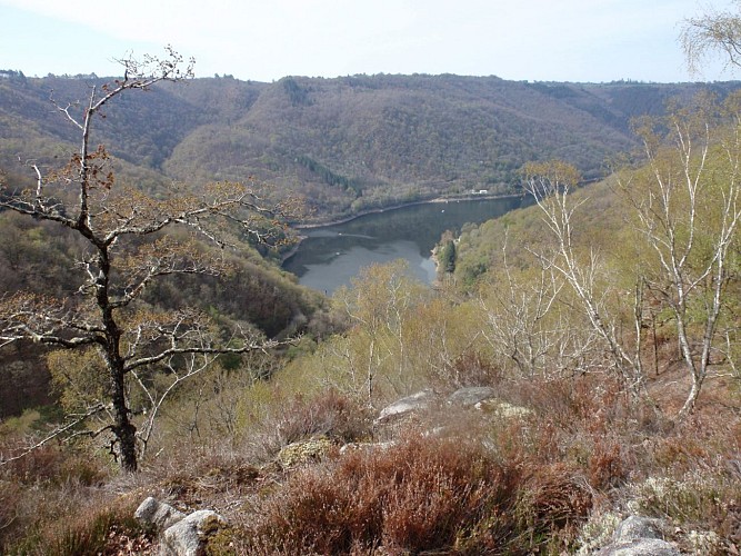 17 AURIAC - De Selves au puy Murat (1)_5