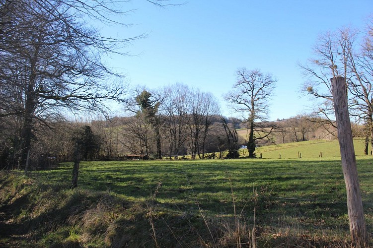 Chemin creux - Eyburie © JL OT TDC (1)