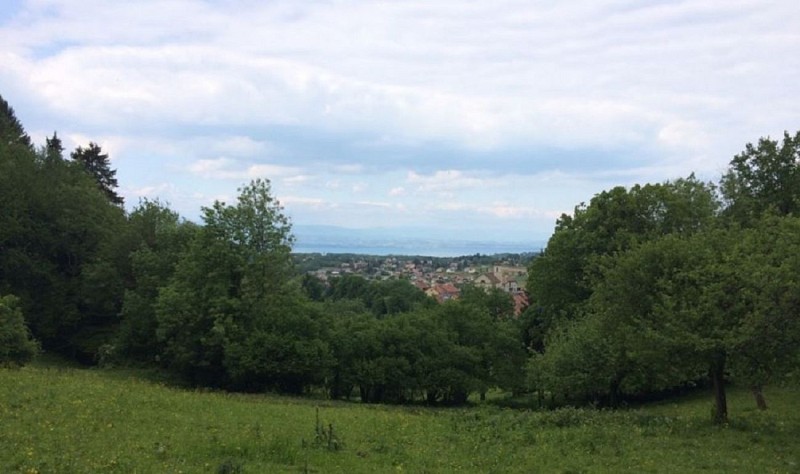 Circuit "Boucle du Crêt boulanger"