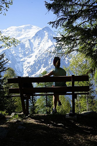 Hike to the Alpage of Chailloux