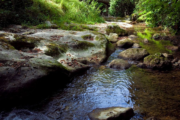 Jacob Waterfalls and La Grobelle