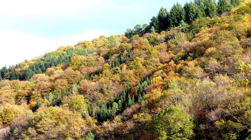 Des vergers aux berges de la Corrèze