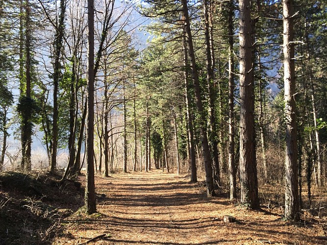 Die Schluchten von La Ravoire