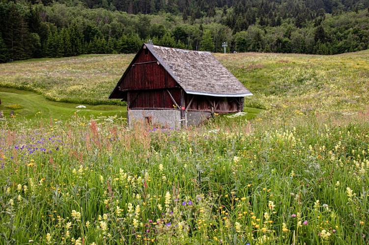 Les Trois Croix and l'Alpettaz