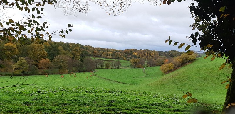 Rando du Ganaveix au Bradascou Condat sur Ganaveix ©Audrey Blanchet  (5)