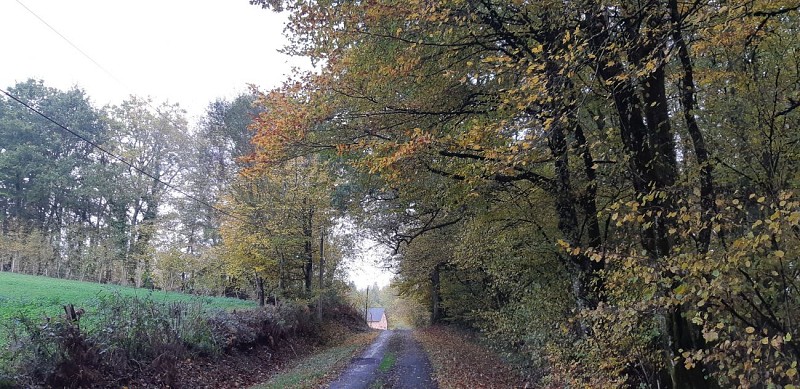 Rando du Ganaveix au Bradascou Condat sur Ganaveix ©Audrey Blanchet (2)