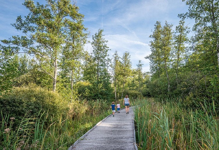 Chilly marsh Discovery trail