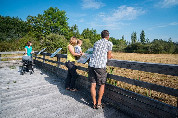 Chilly marsh Discovery trail