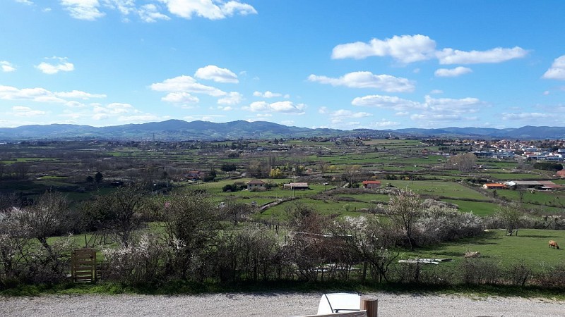 Montagny - Les landes de Montagny