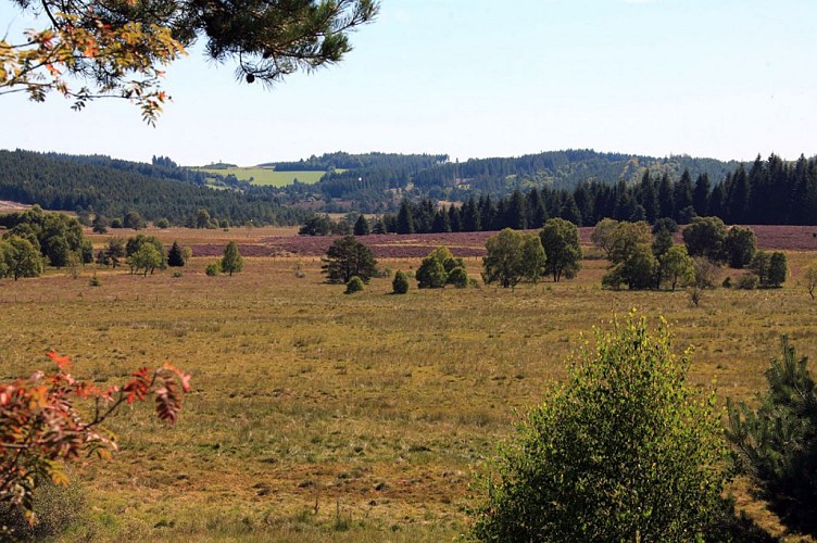 Du site des Cars à la tourbière du Longeyroux