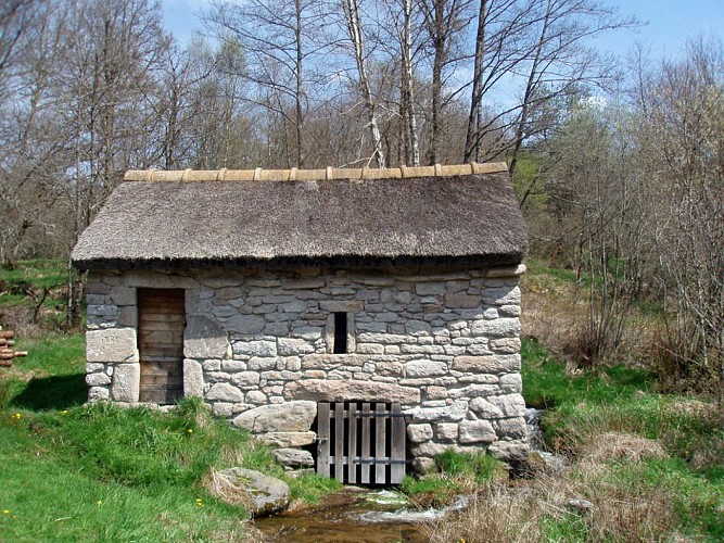 Du site des Cars à la tourbière du Longeyroux