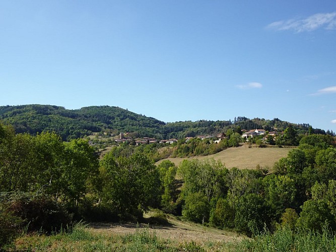 Vaugneray - Au cœur des Crêts Boisés (circuit long)