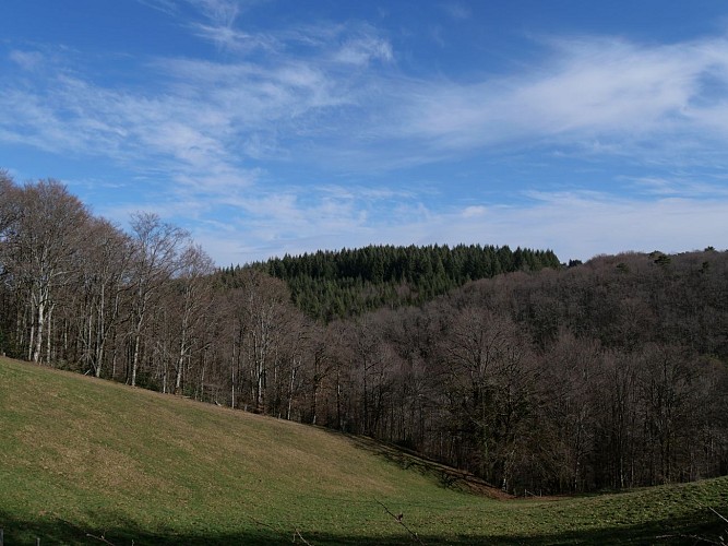 Entre Auvergne et Limousin