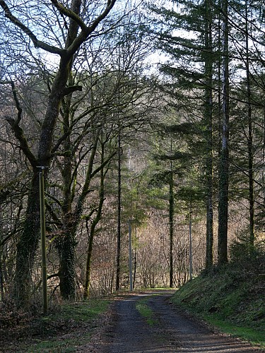 Entre Auvergne et Limousin