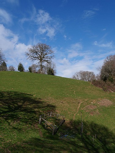 Entre Auvergne et Limousin