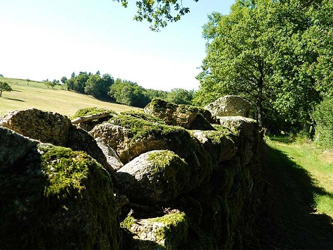 Entre coteaux et vallées