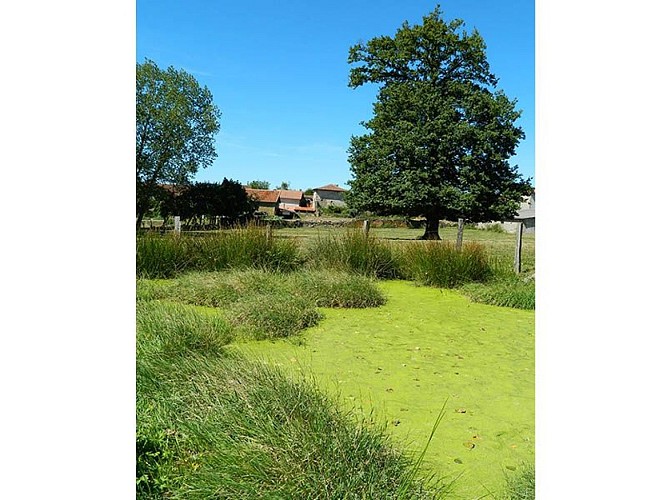 Entre coteaux et vallées