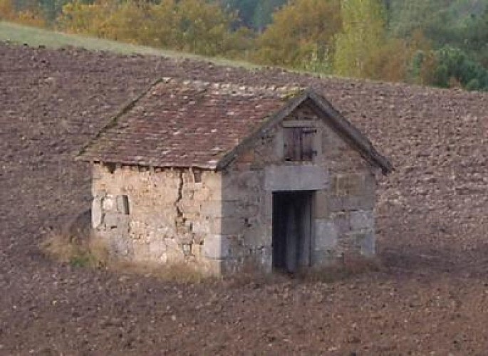 Entre vignes et noyers