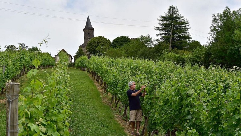Entre vignes et noyers