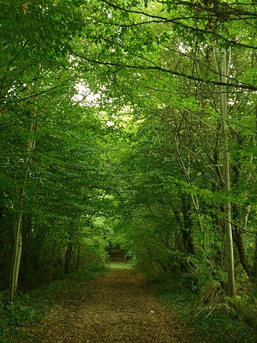 Itinéraire de la Croix Robert
