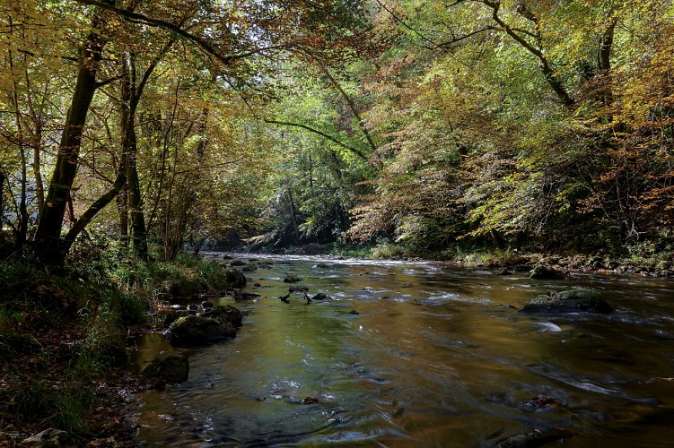 St_hilaire_foissac_nature-2016 (8)