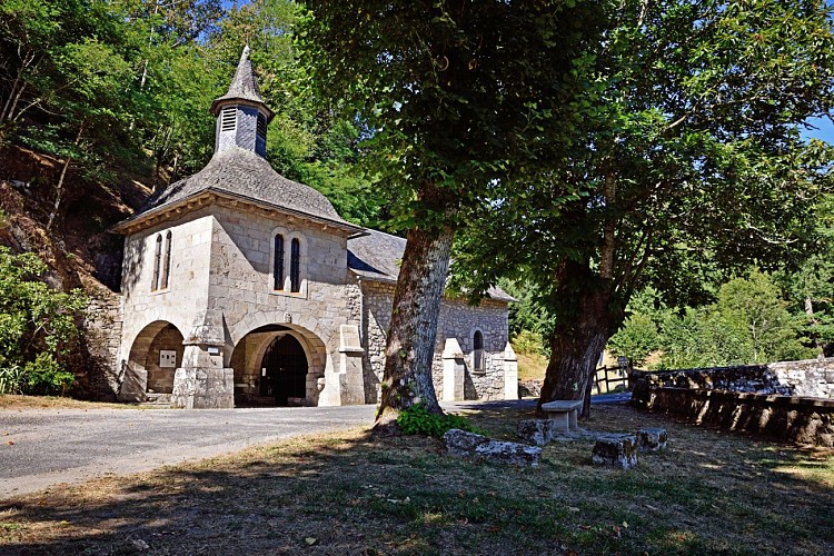 Correze Ramshorn 72dpi 009