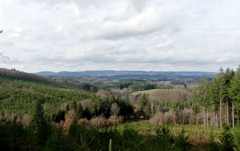 Le chemin des abbesses