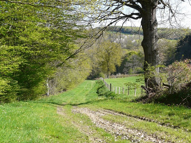 VTT'Sioule  5 km - Circuit n°1