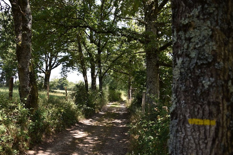 Le chemin des moulins