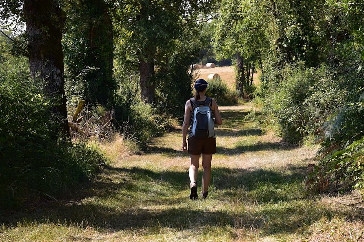 Le chemin des moulins