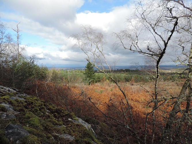 Immense panorama_2
