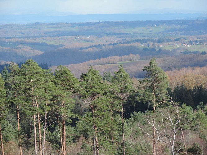 La plaine_4