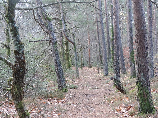 Le départ du chemin_10