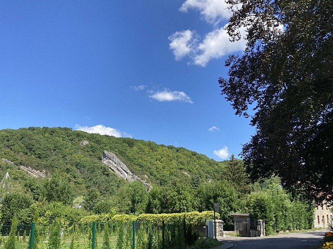 4. Les Spineuses (2)