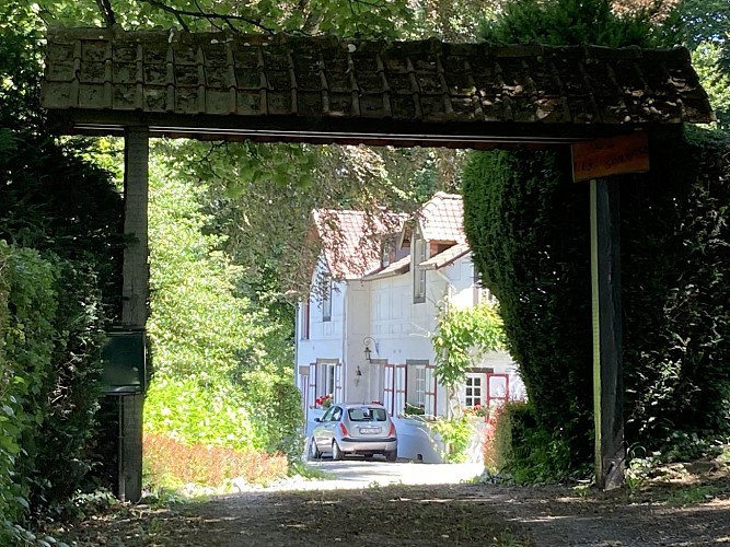 4. Les Spineuses (3)