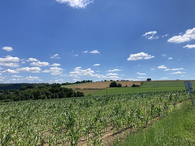 4. Les Spineuses (1)