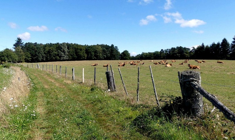 Le rocher des folles