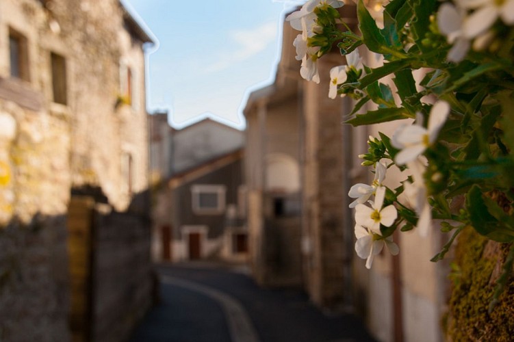 Le sentier du Petit Monteil et de Lavalette