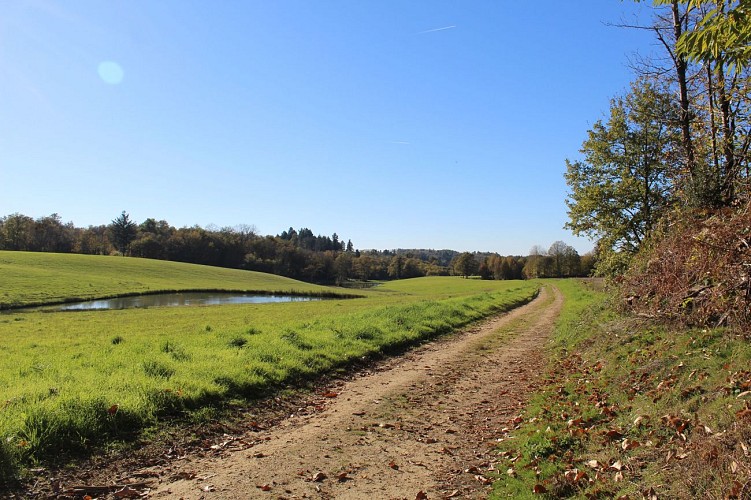 Présentation - le Tilleul de Sully - Montgibaud ©JLautrete - Office de Tourisme Terres de Corrèze (1)