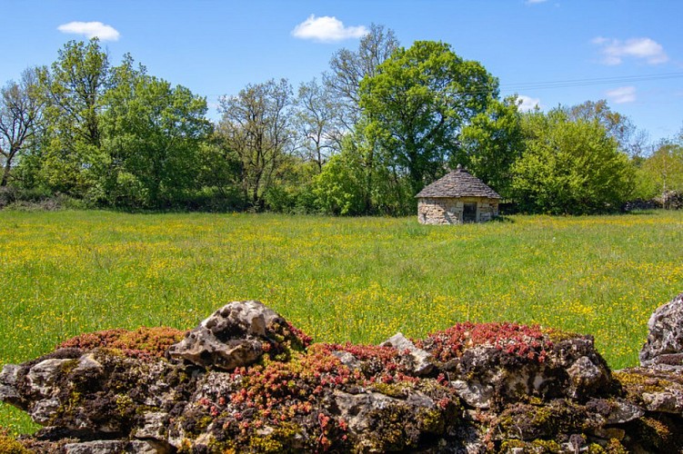 Cazelle à Loupiac