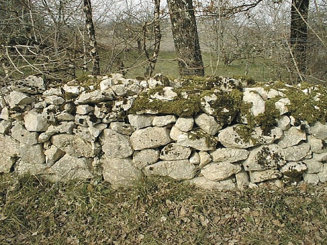 Muret Pierres Sèches